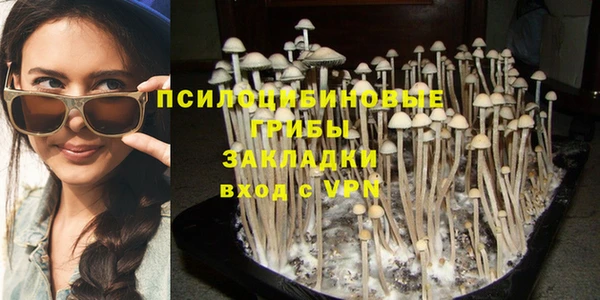 синтетический гашиш Алексеевка