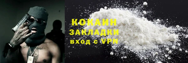 соль ск Алзамай