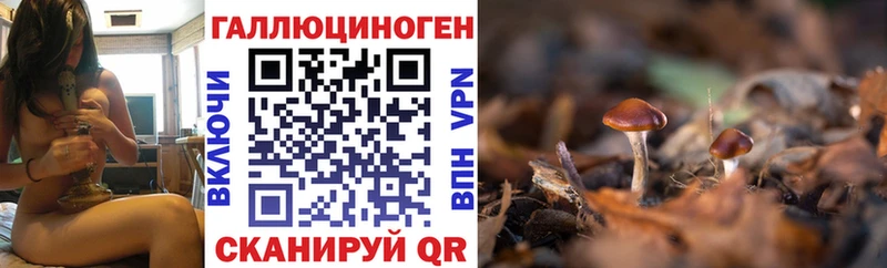 продажа наркотиков  Нижнеудинск  Галлюциногенные грибы Psilocybine cubensis 