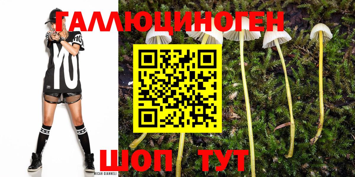 Нижнеудинск  Галлюциногенные грибы Magic Shrooms  Вход с VPN 