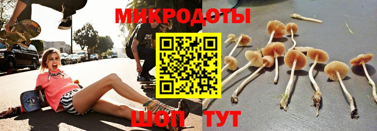 Галлюциногенные грибы ЛСД Нижнеудинск